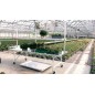 Tablar 2000 x 900 HT700mm (avec roues) Tablar 2000 x 900 HT700mm (avec roues)