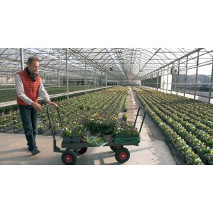 Chariot 4x4 Directionnel 1500x600 mm