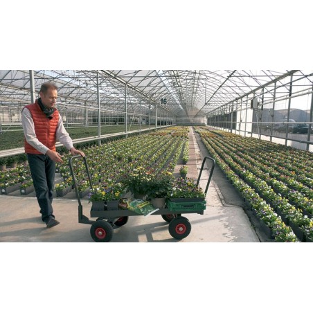 Chariot 4x4 Directionnel 1500x600 mm